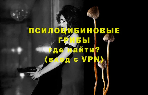 стаф Новочеркасск