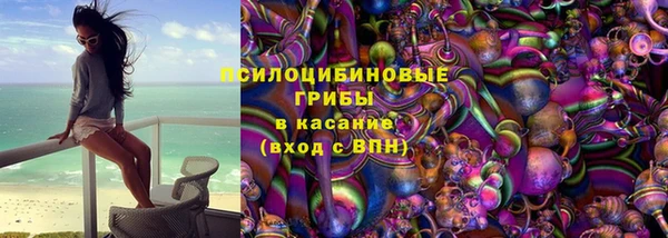 стаф Новочеркасск