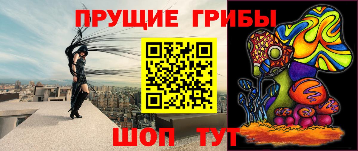 Галлюциногенные грибы Psilocybine cubensis  Псилоцибиновые грибы MAGIC MUSHROOMS  Вход с VPN  Богородск 