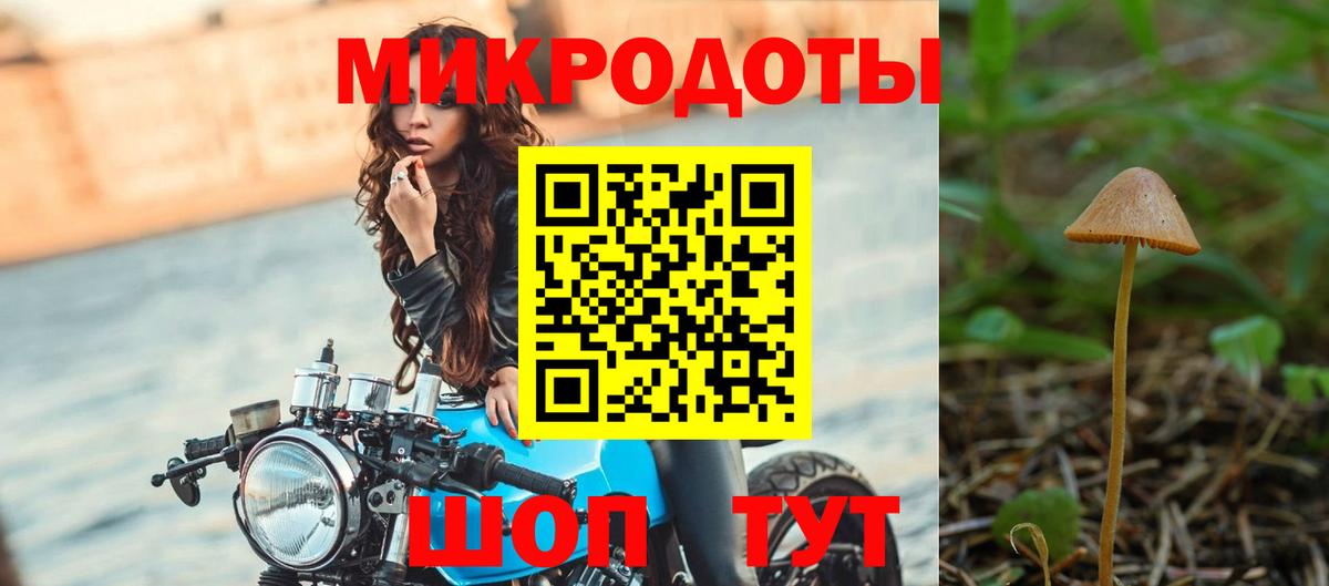 Псилоцибиновые грибы Magic Shrooms  Богородск 